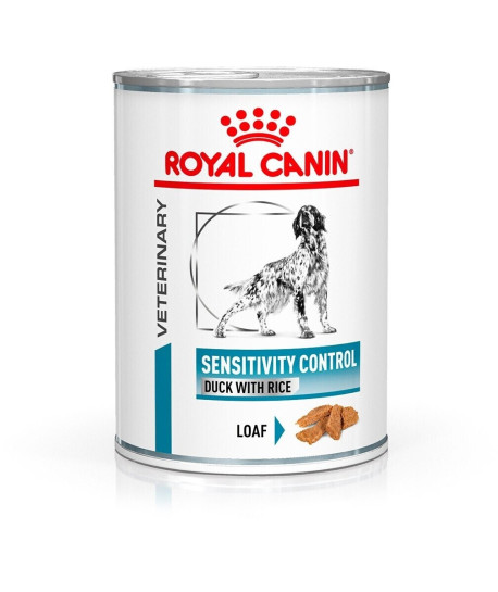 Dog Sensitivity Canard
