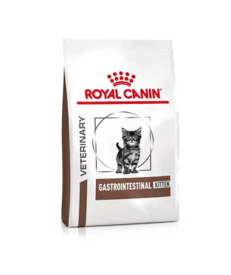 Cat Gastrointestinal Kitten