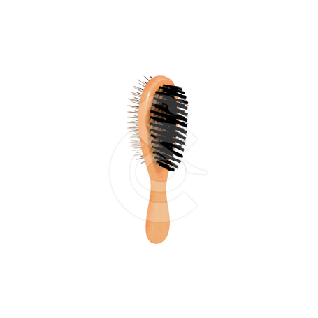 Brosse double en bois