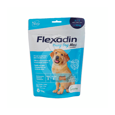 Flexadin Young dog Maxi