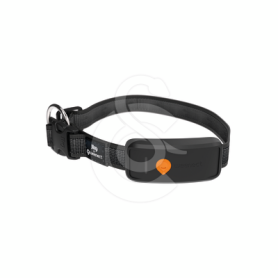 GPS Weenect XT pour chien