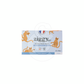 Ziggy Chat Adulte Insuffisance Renale Porc Pâtée