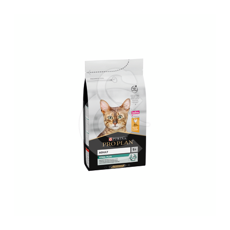 Cat Adult Chicken & Rice