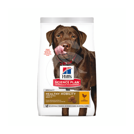 Canine Adult Large Healthy Mobility