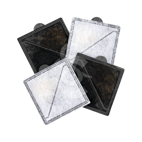 Filtre de rechange Ion-X pour fontaine à eau Outlast