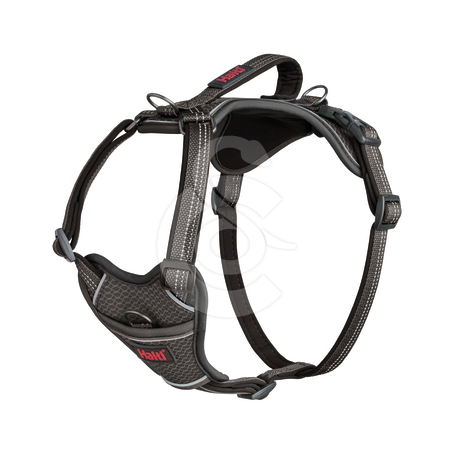 Harnais Halti Anatomy