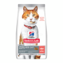 Chat Adult Sterilised Cat Saumon