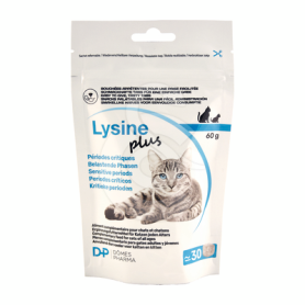Lysine Plus