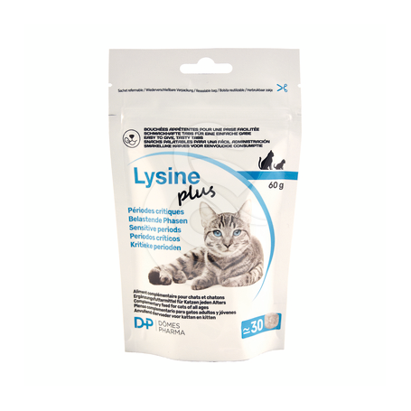 Lysine Plus