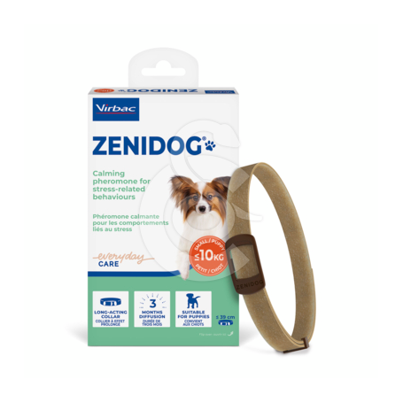 Zenidog collier Chien 