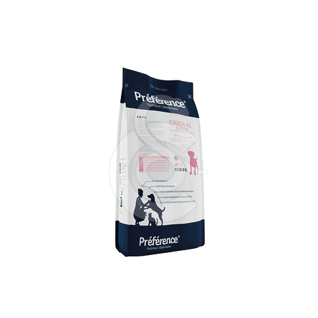 Préférence Chien Junior XL