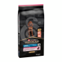 Pro Plan Dog Large Athlétic Adult Sensitive Skin Saumon