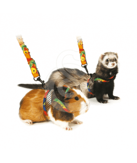 Harnais pour furet et cochon d'Inde