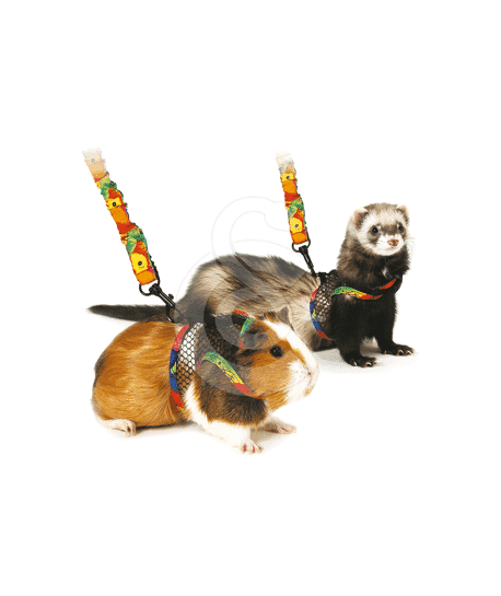 Harnais pour furet et cochon d'Inde