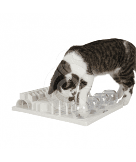 Jouet chat éducatif : Plateau Fun Board