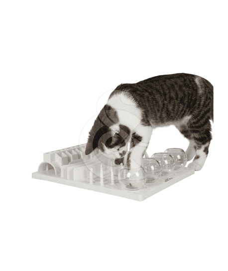 Jouet chat éducatif : Plateau Fun Board