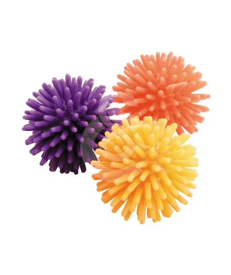 Jouet chat Zolux : balle hérisson