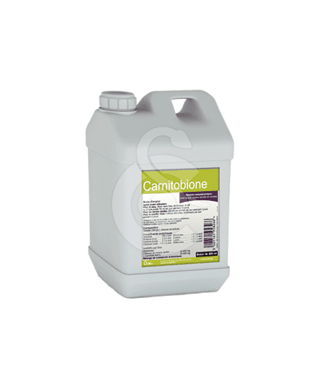 Carnitobione