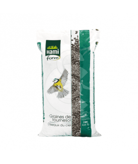 Graines de Tournesol