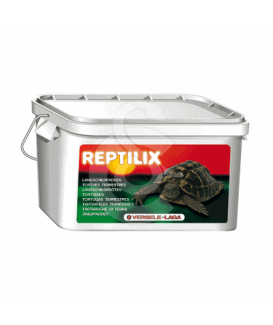 Reptilix Tortues
