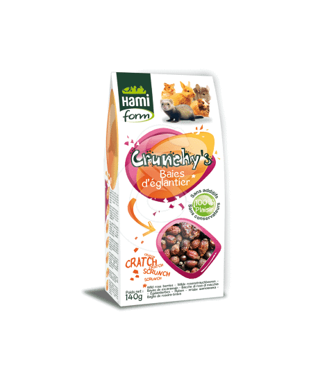 Friandises pour tous rongeurs Baies d'églantier