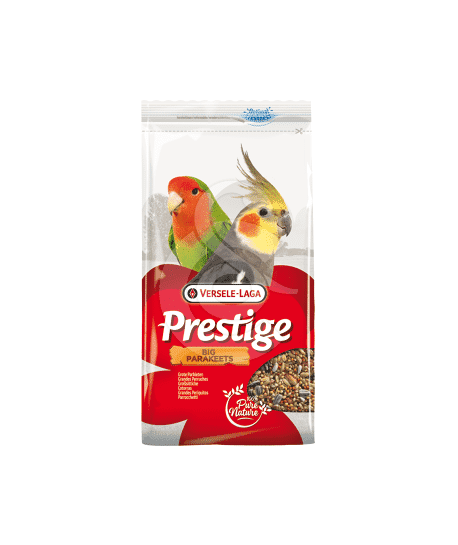 Prestige grandes Perruches