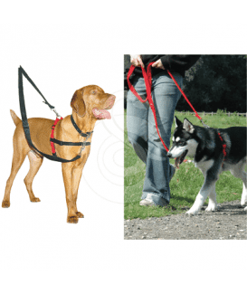 Harnais Halti Front Control