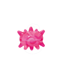 Jouet chien Pop : Crazy Urchin Toy