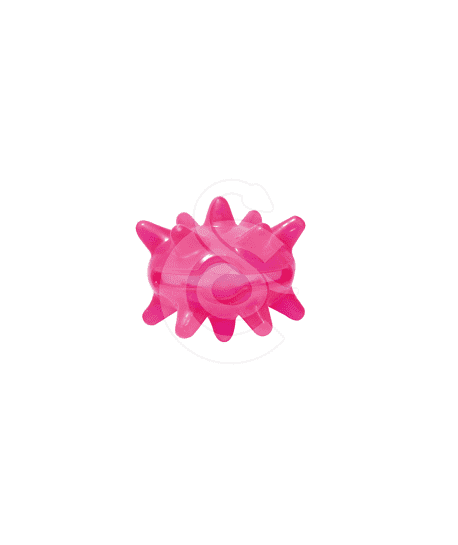 Jouet chien Pop : Crazy Urchin Toy