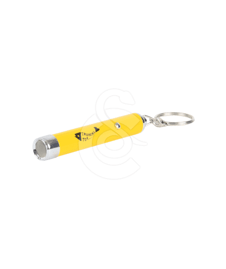 Pointeur Led Catch the light