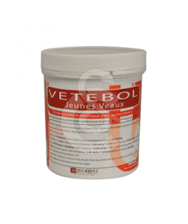Vetebol Jeunes Veaux