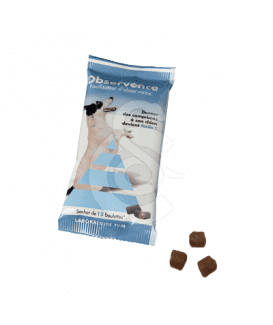 Observence Chien en boulettes