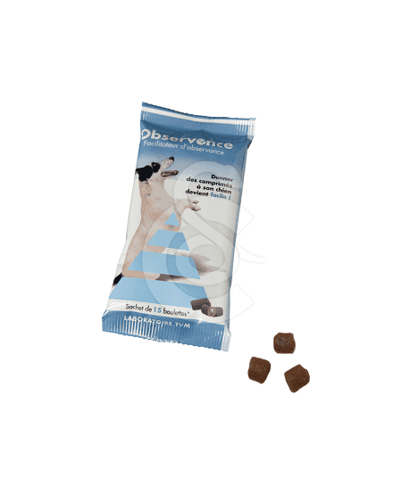 Observence Chien en boulettes