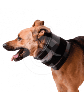 Collier Bite Free KVP