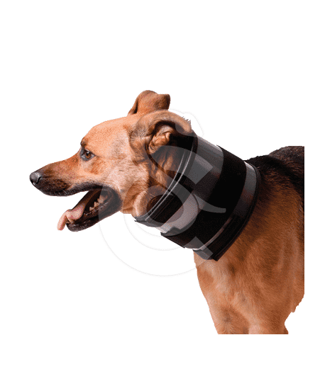 Collier Bite Free KVP