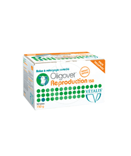Oligovet Reproduction