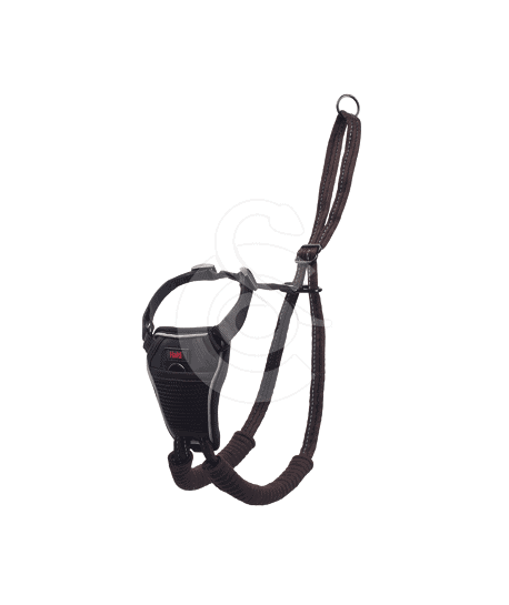 Harnais Halti No Pull