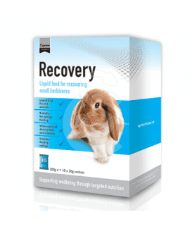 Recovery (Petit Herbivore)