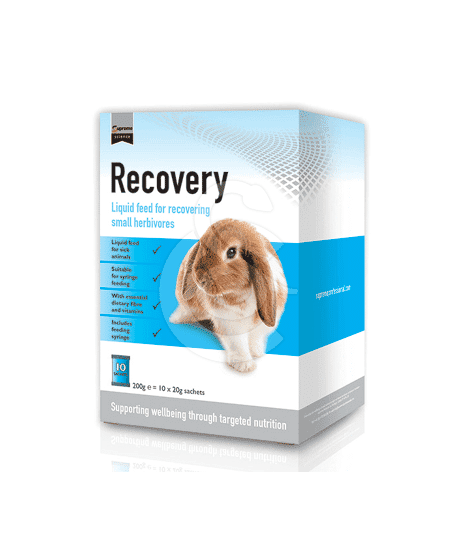 Recovery (Petit Herbivore)