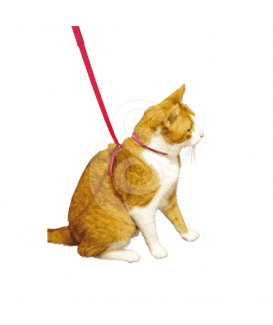 Harnais Chat Pop