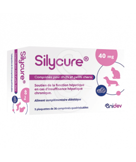 Silycure 40mg