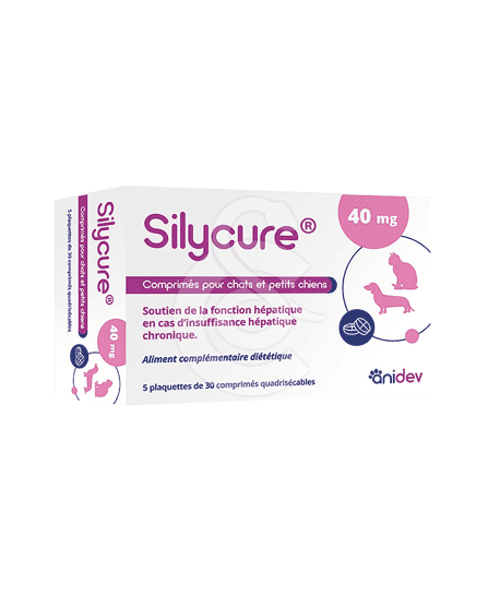 Silycure 40mg