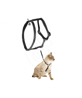 Ensemble harnais/laisse chat Bobby Safe