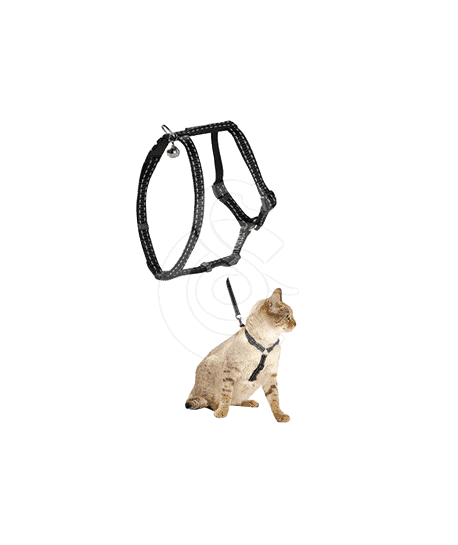 Ensemble harnais/laisse chat Bobby Safe