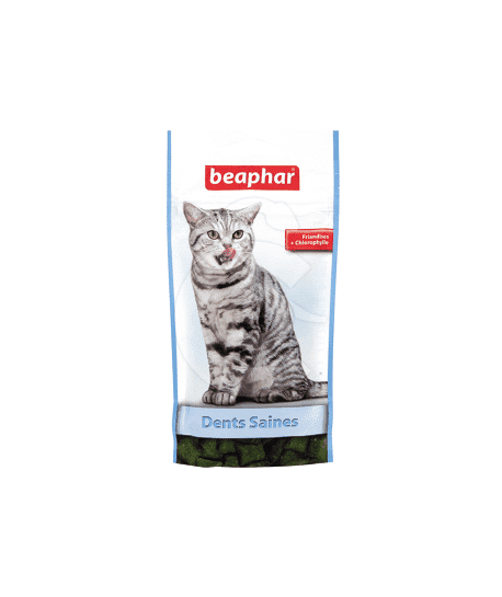 Friandises Dents Saines pour Chat