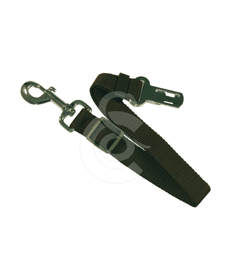 Laisse sécurité transport