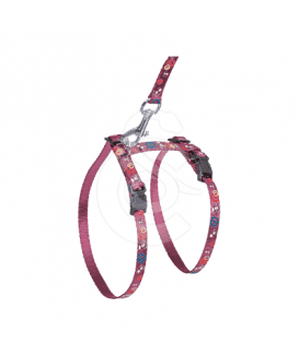 Ensemble harnais / laisse chat Art Sportiv