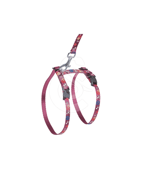 Ensemble harnais / laisse chat Art Sportiv