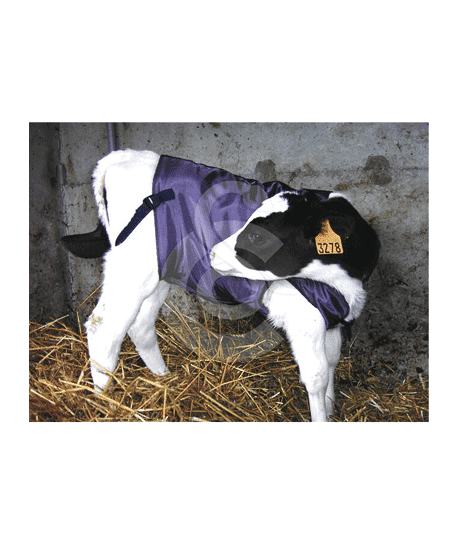 Manteau polaire pour veau