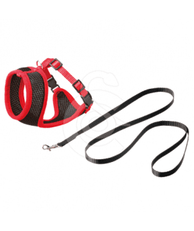 Ensemble harnais / laisse chat Confort